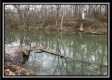 Tract 12 at The Woods at Sunfish Creek property photo