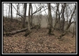 Tract 12 at The Woods at Sunfish Creek property photo