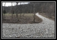 Tract 12 at The Woods at Sunfish Creek property photo