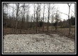 Tract 12 at The Woods at Sunfish Creek property photo