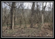 Tract 12 at The Woods at Sunfish Creek property photo