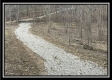 Tract 12 at The Woods at Sunfish Creek property photo