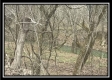 Tract 12 at The Woods at Sunfish Creek property photo