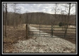 More of Tract 12 at The Woods at Sunfish Creek