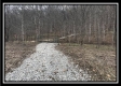 Tract 12 at The Woods at Sunfish Creek property photo