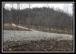 More of Tract 12 at The Woods at Sunfish Creek