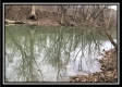 More of Tract 12 at The Woods at Sunfish Creek