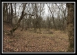 More of Tract 12 at The Woods at Sunfish Creek