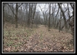 More of Tract 12 at The Woods at Sunfish Creek