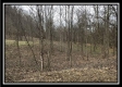Tract 12 at The Woods at Sunfish Creek property photo