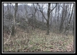 Tract 12 at The Woods at Sunfish Creek property photo