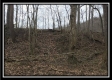 Tract 12 at The Woods at Sunfish Creek property photo