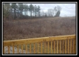 Whitetail Retreat Cabin at Deer Ridge property photo