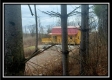 Whitetail Retreat Cabin at Deer Ridge property photo