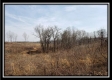 Whitetail Retreat Cabin at Deer Ridge property photo