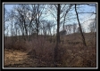 Whitetail Retreat Cabin at Deer Ridge property photo