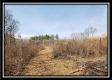 Whitetail Retreat Cabin at Deer Ridge property photo