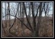 Whitetail Retreat Cabin at Deer Ridge property photo