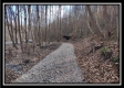Tract 8 - Number 12 Hollow property photo
