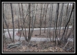 Tract 8 - Number 12 Hollow property photo