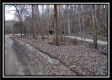 Tract 8 - Number 12 Hollow property photo