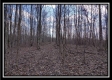 Tract 8 - Number 12 Hollow property photo