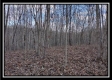 Tract 8 - Number 12 Hollow property photo