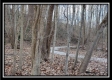 Tract 8 - Number 12 Hollow property photo