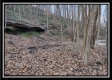 Tract 8 - Number 12 Hollow property photo