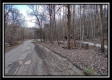 More of Tract 8 - Number 12 Hollow