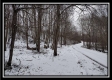Tract 8 - Number 12 Hollow property photo