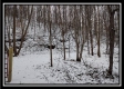 Tract 8 - Number 12 Hollow property photo