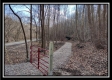 More of Tract 8 - Number 12 Hollow
