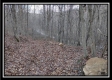 More of Tract 8 - Number 12 Hollow