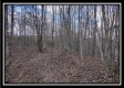 Tract 8 - Number 12 Hollow property photo