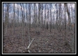 Tract 8 - Number 12 Hollow property photo