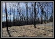 Tract 5 - Muskingum Woods property photo