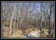 Tract 5 - Muskingum Woods property photo