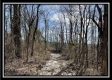 Tract 5 - Muskingum Woods property photo