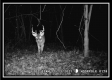 Tract 5 - Muskingum Woods property photo