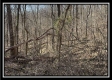 Tract 5 - Muskingum Woods property photo