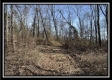 Tract 5 - Muskingum Woods property photo