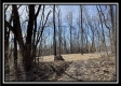 Tract 5 - Muskingum Woods property photo