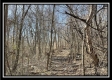 Tract 5 - Muskingum Woods property photo