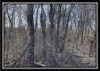 Tract 5 - Muskingum Woods property photo