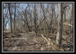 Tract 5 - Muskingum Woods property photo