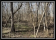 Tract 5 - Muskingum Woods property photo