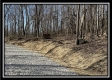 Tract 5 - Muskingum Woods property photo