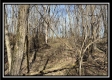 Tract 5 - Muskingum Woods property photo