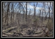Tract 5 - Muskingum Woods property photo